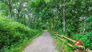 Land for sale in São Pedro do Sul, Portugal — €90,000