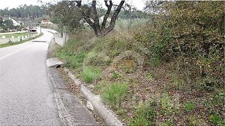 Land for sale in Pombal, Portugal — €19,000