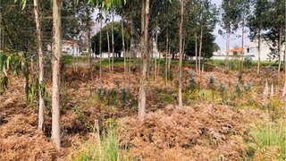 Land for sale in Espinho, Portugal — €55,000
