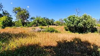 Terreno em Faro · 11 760 m² · 320 000 €