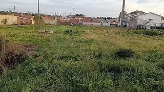 Land for sale in Marinha Grande, Portugal — €68,000