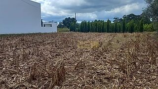 Land for sale in Oliveira do Bairro, Portugal — €38,000