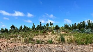 Land for sale in Bombarral, Portugal — €80,000
