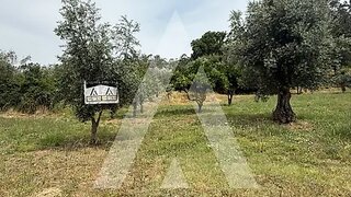 Land for sale in Pombal, Portugal — €48,000