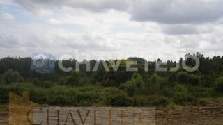 Land for sale in Tomar, Portugal — €50,000