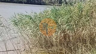 Land for sale in Alcoutim, Portugal — €32,000