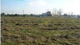 Land for sale in Moita, Portugal — €1,500,000