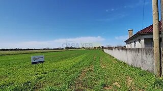 Land for sale in Vagos, Portugal — €27,000