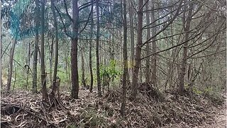 Land for sale in Torres Vedras, Portugal — €15,000