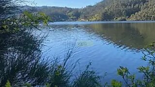 Land for sale in Oliveira de Frades, Portugal — €50,000
