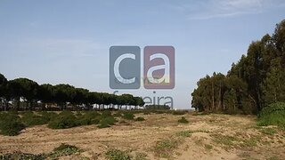 Terreno em Almeirim