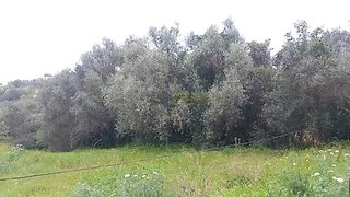 Land for sale in Albufeira, Portugal — €76,500