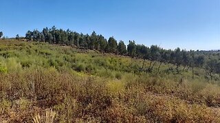 Terreno de 3520 m² em Castelo Branco