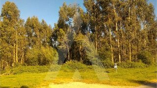 Land for sale in Albergaria-a-Velha, Portugal — €225,000