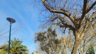 Land for sale in Vagos, Portugal — €30,000