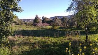 Land for sale in São Brás de Alportel, Portugal — €87,500