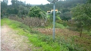 Land for sale in Águeda, Portugal — €55,000