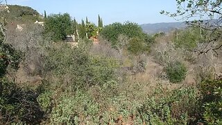 Land for sale in Loulé, Portugal — €56,000