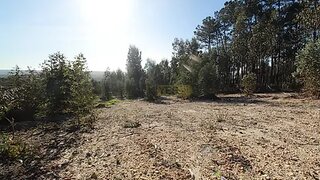 Terreno de 2320 m² em Leiria