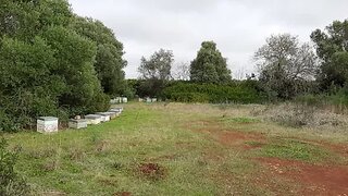 Land for sale in Silves, Portugal — €25,000