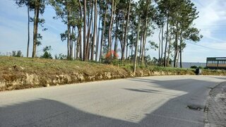 Land for sale in Vale de Cambra, Portugal — €80,000