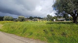 Land for sale in Torres Novas, Portugal — €26,500