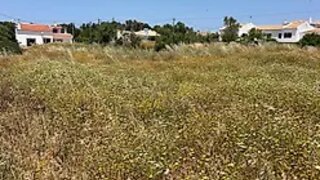 Land for sale in Vila do Bispo, Portugal — €160,000