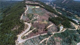 Land for sale in Penacova, Portugal — €850,000