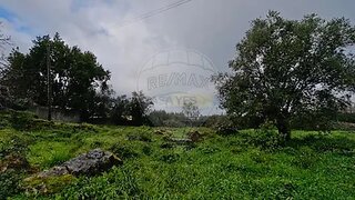 Land for sale in Condeixa-a-Nova, Portugal — €95,000