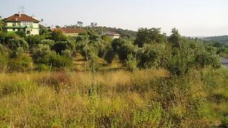 Land for sale in Tomar, Portugal — €30,000