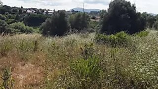 Land for sale in Azambuja, Portugal — €18,800