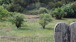 Land for sale in Mafra, Portugal — €310,000