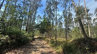 Terreno em Póvoa de Varzim
