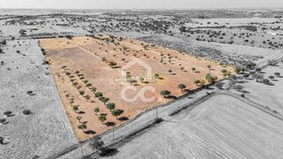 Land for sale in Mourão, Portugal — €250,000