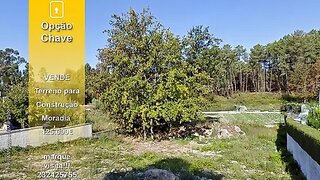 Terreno de 9000 m² em Viseu
