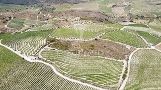 Land for sale in Mêda, Portugal — €73,350