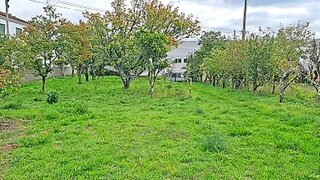 Terreno de 561 m² em Viana do Castelo