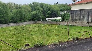Land for sale in Barcelos, Portugal — €65,000