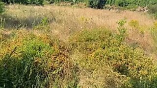 Land for sale in Amarante, Portugal — €92,000
