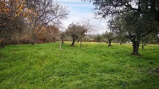 Land for sale in Penamacor, Portugal — €17,000