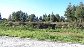 Land for sale in Vila Nova de Famalicão, Portugal — €500,000