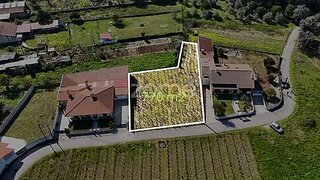 Land for sale in Anadia, Portugal — €33,000