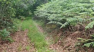 Terreno em Vouzela