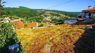 Land for sale in Oliveira de Azeméis, Portugal — €48,000