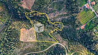Terreno em Santarém · 16 480 m² · 55 000 €