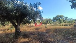 Terreno de 3500 m² em Castelo Branco