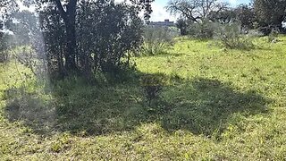 Land for sale in Alandroal, Portugal — €45,000