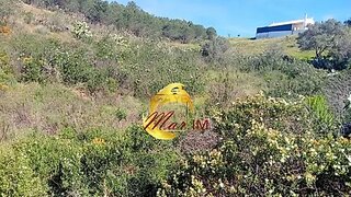 Terreno em Castro Marim