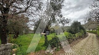 Land for sale in Alvaiázere, Portugal — €6,500