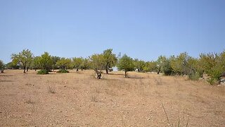 Land for sale in Albufeira, Portugal — €62,000